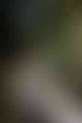 A bride and groom laugh together at their morning wedding portrait session at Cottesloe Civic Centre