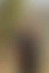 Reilly Craig Music plays an acoustic set for the wedding ceremony at Anderson Point in the Perth Hills