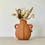 Thumbnail: Terra-cotta Bud Vase with Handles and Loop On The Side