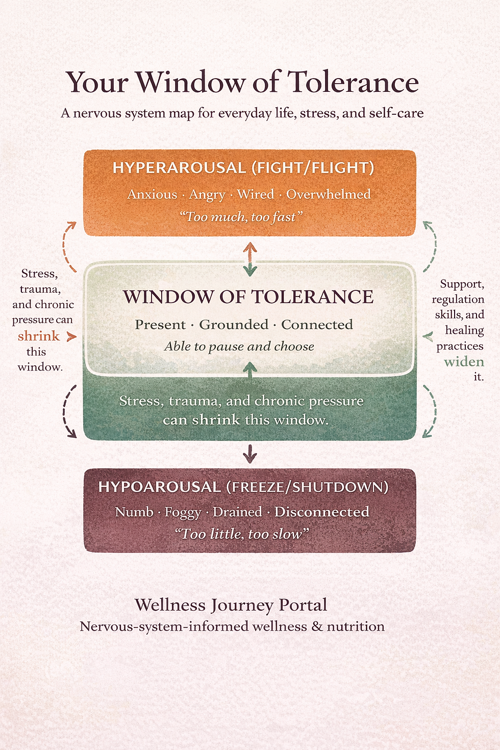 Window of Tolerance graphic