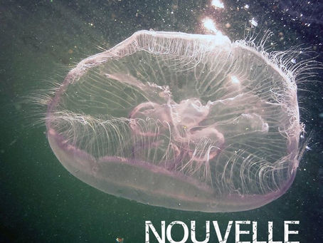 Nouvelle - ‘Melancholic Optimism’ (EP)