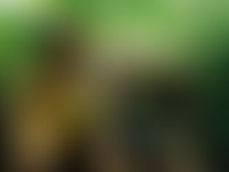 Introducing... Great Park Avenue with single ‘‘Blue World’ (single)