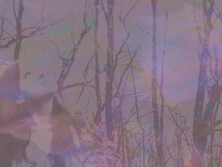 Ocean Onyx (Sweden) - ‘For the Sun’ (single)