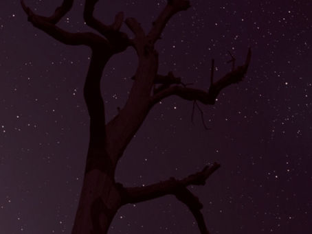 BREGN (Denmark) - ‘Raw’ (single)