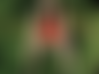 Six Jakobsen 🇳🇴 - ‘Gardening, Part 1’ (Album)