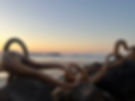 IMG_3508.jpeg