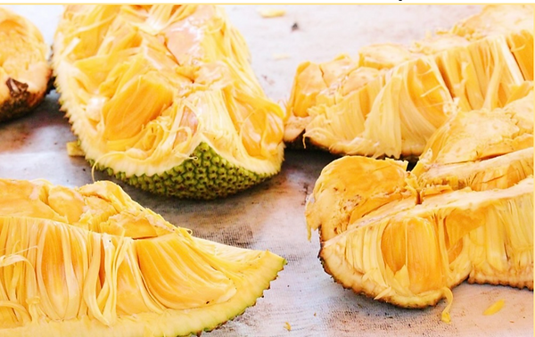 Screen Shot 2022-10-09 at 7.50.25 PM.png