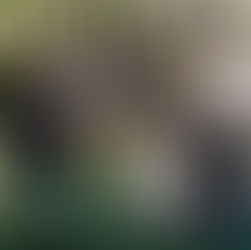 CRBM-4 participa do Xingu Saúde 360°: I Congresso Multidisciplinar de Saúde da Região do Xingu