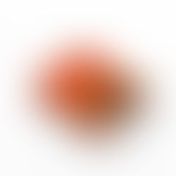 Introducing ‘Through My Lens’ – a photobook by Mahaneela