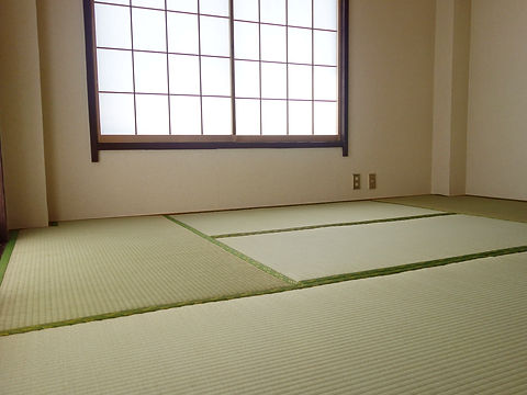 ダニ退治