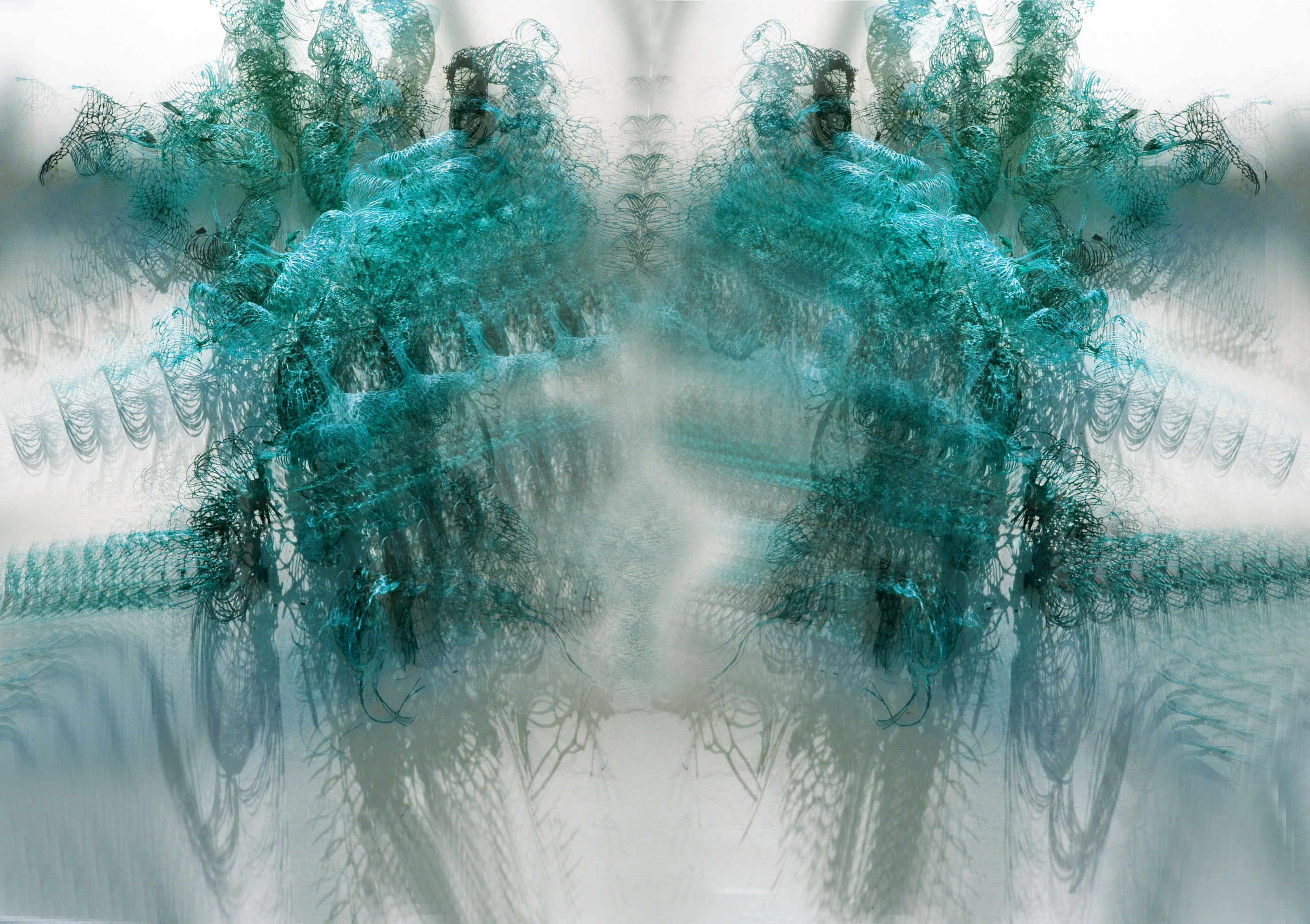 SPECIES-005d