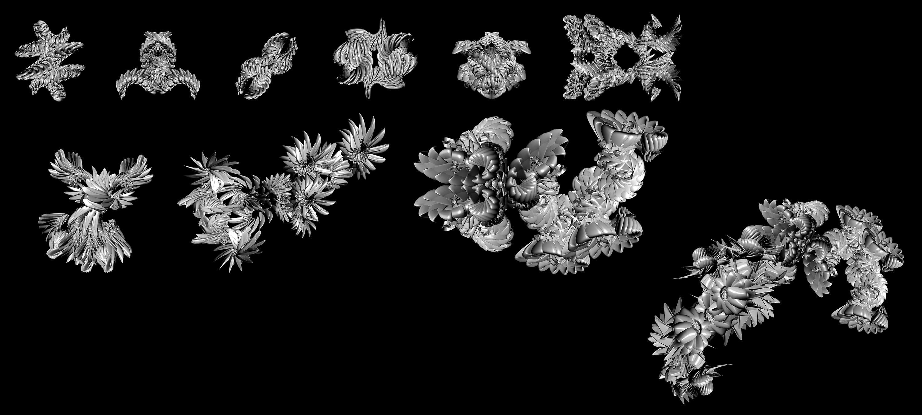 SPECIES TAXONOMY-003a