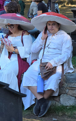 Renaissance Faire 1 (2025)