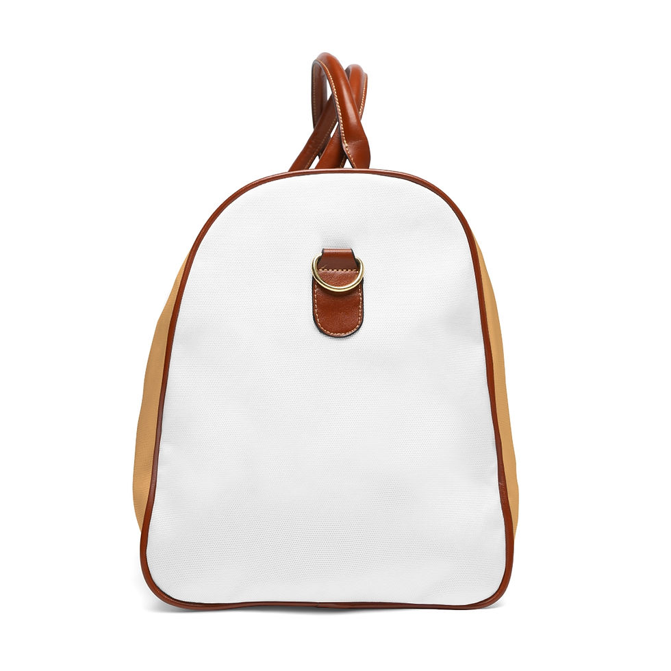 Thumbnail: Venus & Earth Bag