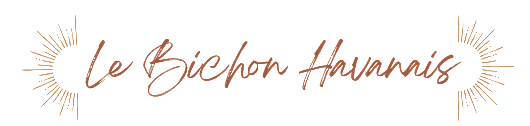 bichon havanais title - home page .png