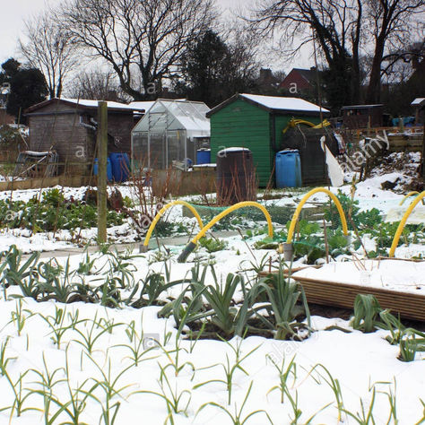 Jan / Feb 2019 Newsletter