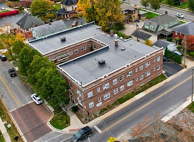 Walnut arial (1)_edited.png