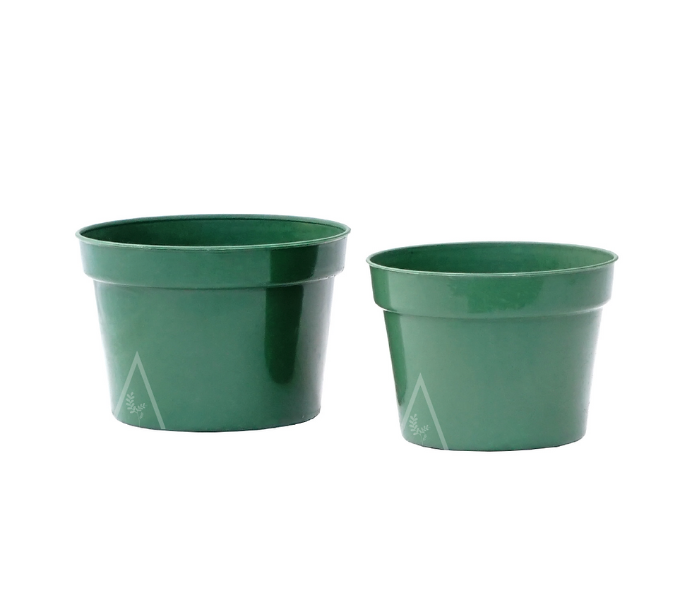 Miniatura: Maceta  Verde