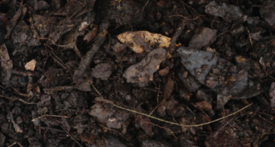 Bolsa de Tierra Preparada