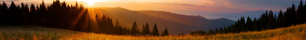 AdobeStock_70508300 (1).jpeg