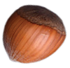 A spinning Hazelnut Image