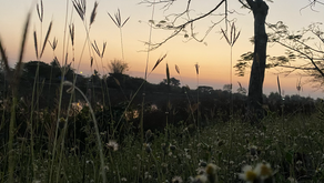Finding right time to find you