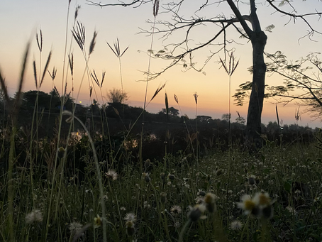 Finding right time to find you