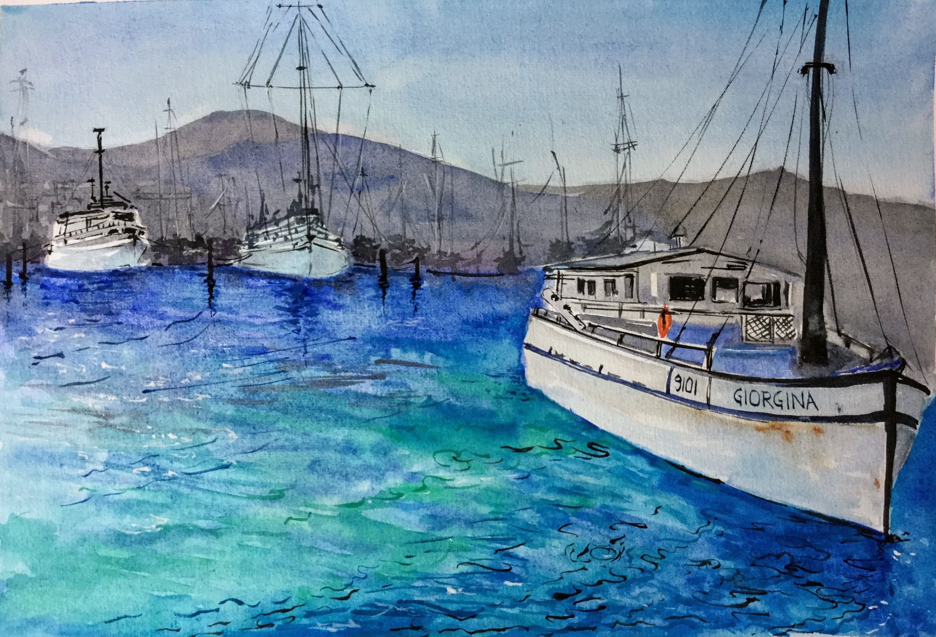 Oriental Bay Harbour - Wellington