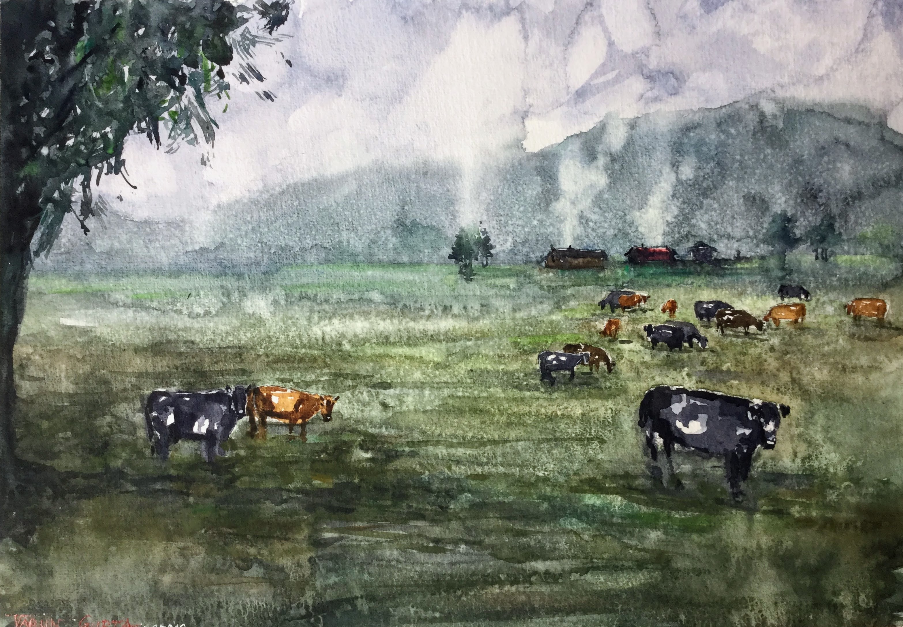 Misty Grazing Hours - Palmerston North N