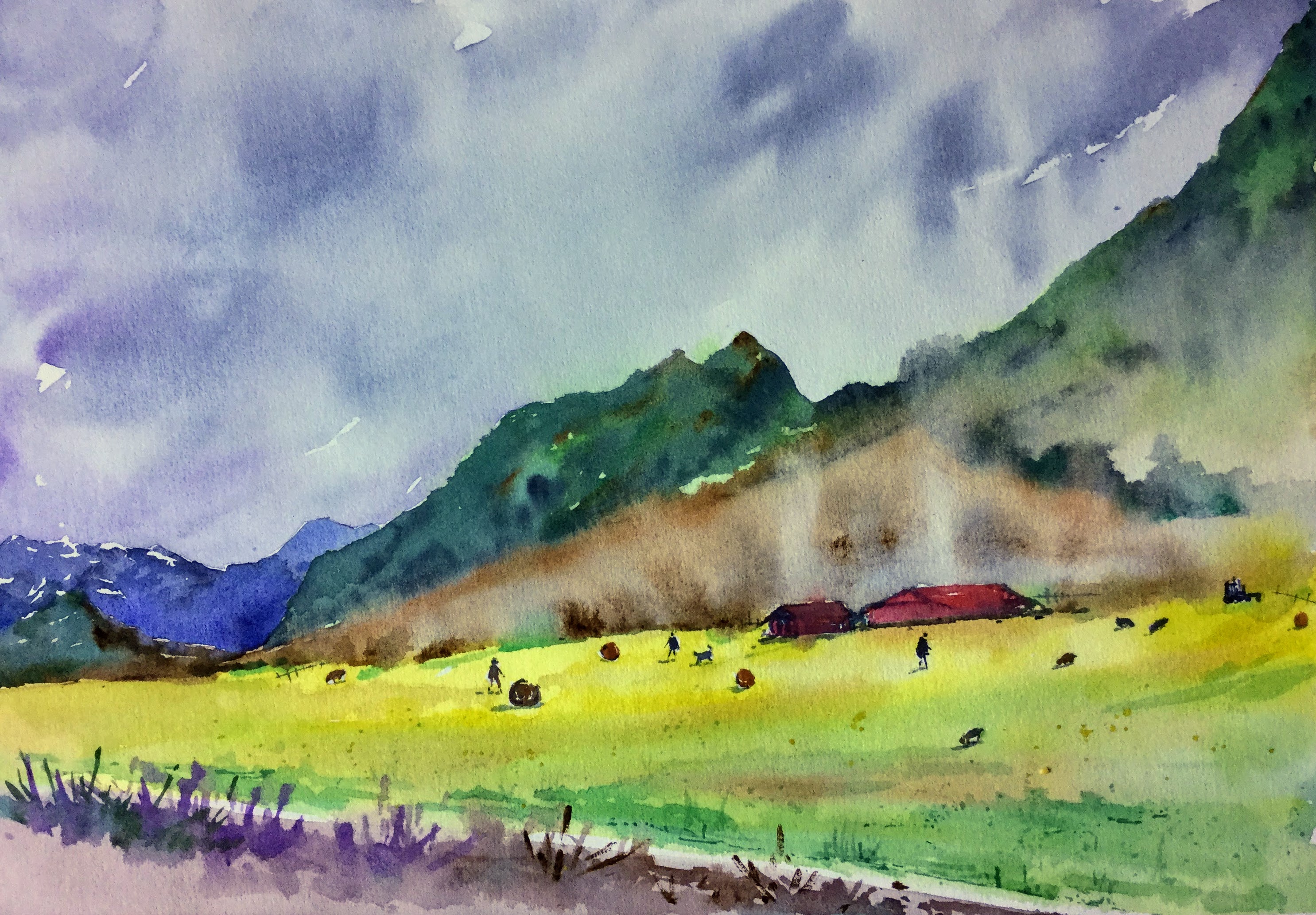 Meadow and Sheeps
