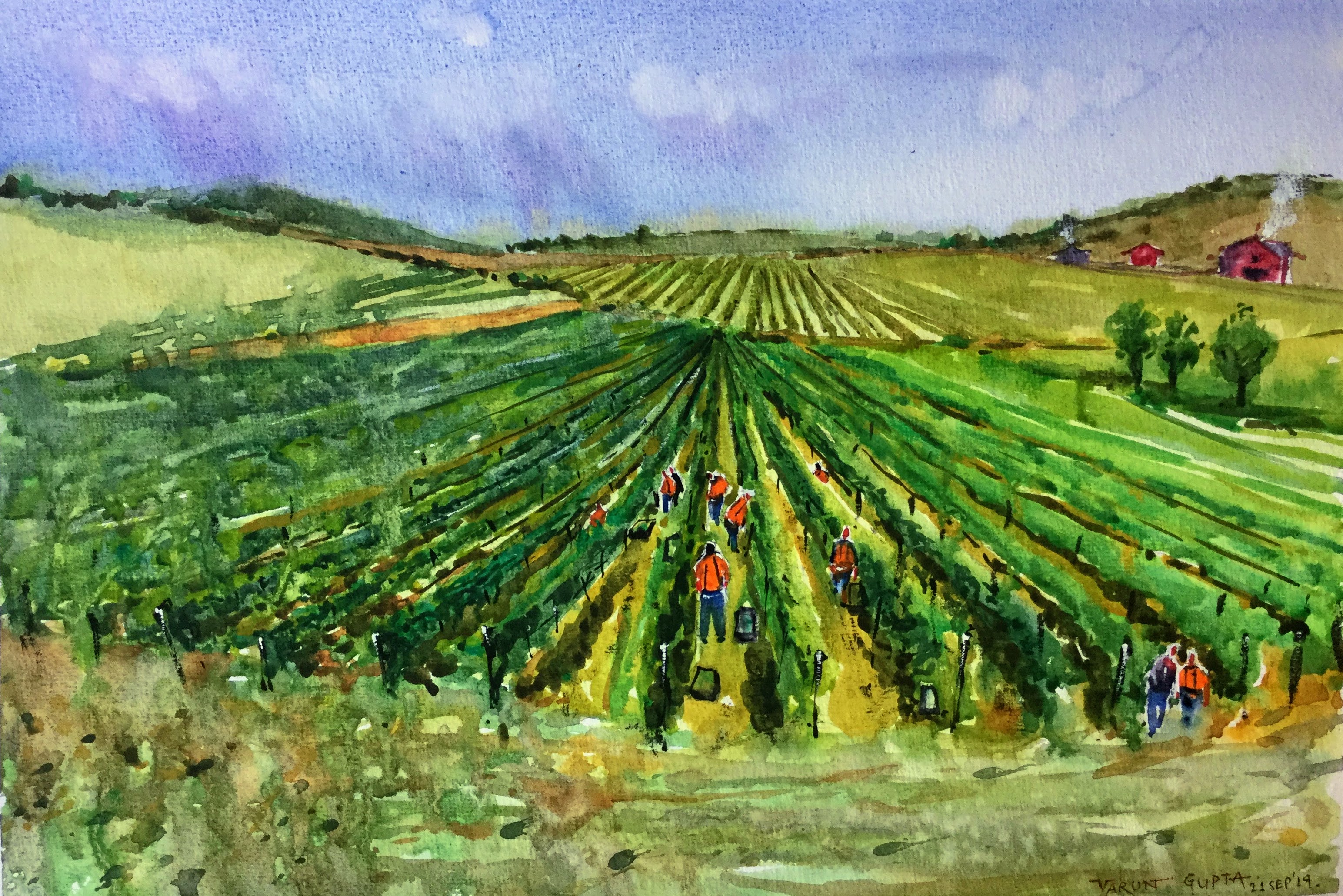 Wineries Marlborough NZ