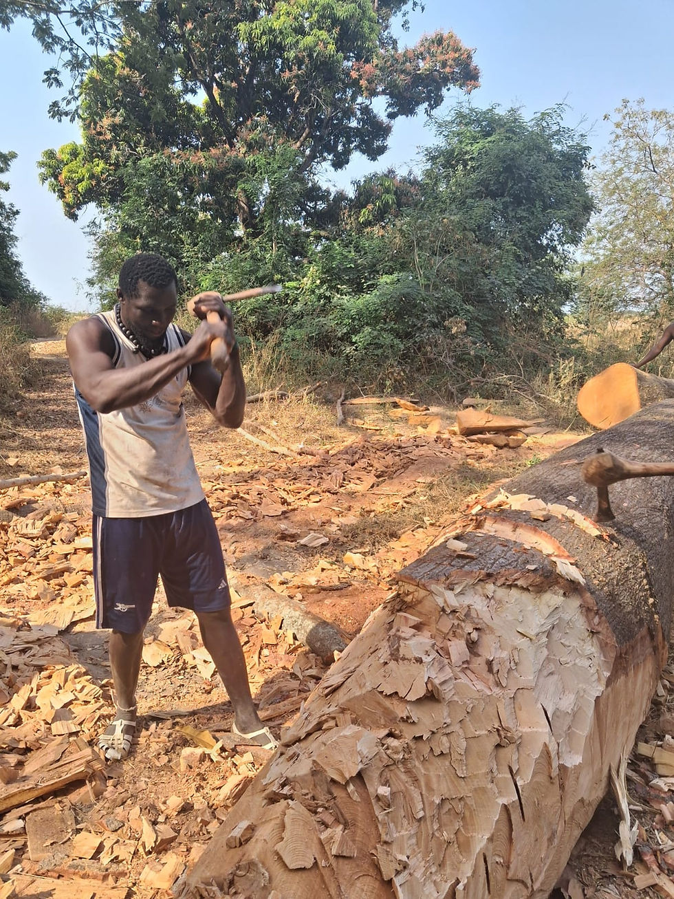 Fabrication d'une pirogue