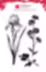 wgfs001, iris flower stamps