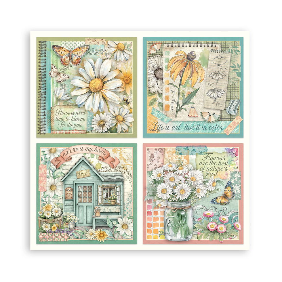 Thumbnail: SBBSXB22, stamperia paper pads, journal papers, diasy