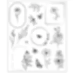 sizzix stamps, 666925, flower stamps, frame stamps