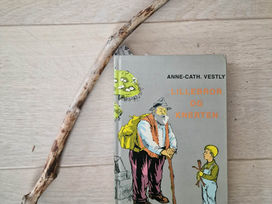 Hvordan formidler litteraturen tidsånden?