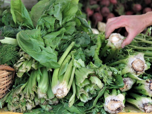 Vecinos de Florida: La primavera llega con más agroecología y nuevas propuestas gastronómicas