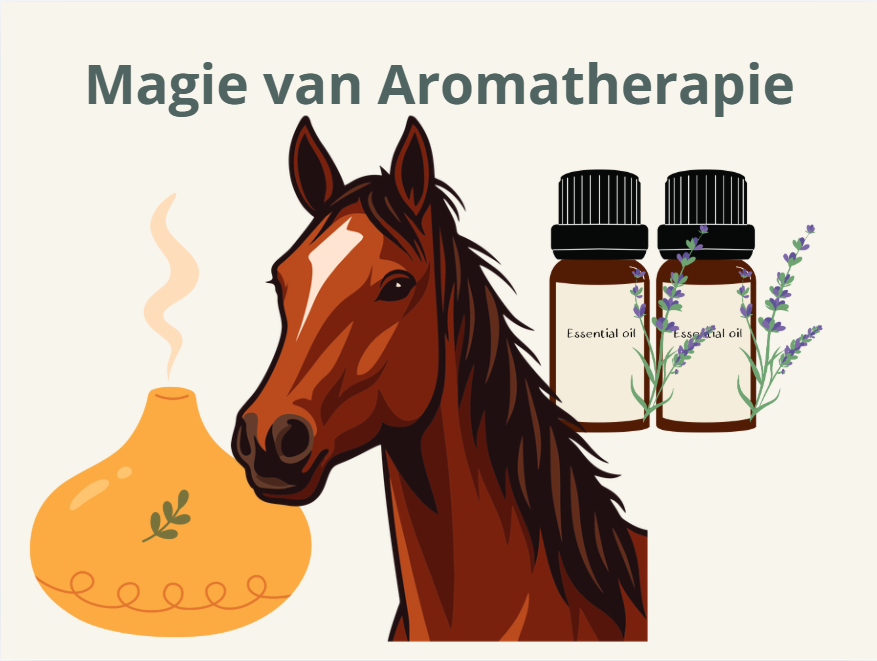 Paard Workshop Aroma-Massage - fysieke les