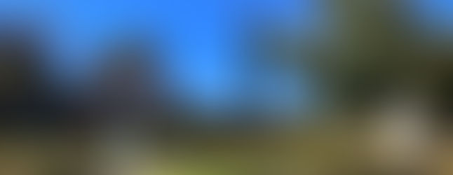 Dès le 31 juillet 2026 - Fermeture de la page Facebook consacrée aux artistes du groupe du Club des collectionneurs en arts visuels de Québec