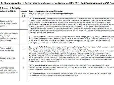 Self-evaluation of experience using PSF Form