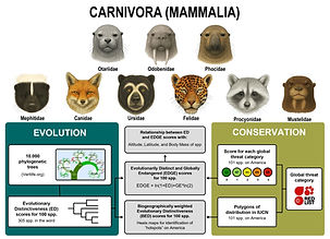 2025-2 Telles tesis.jpg