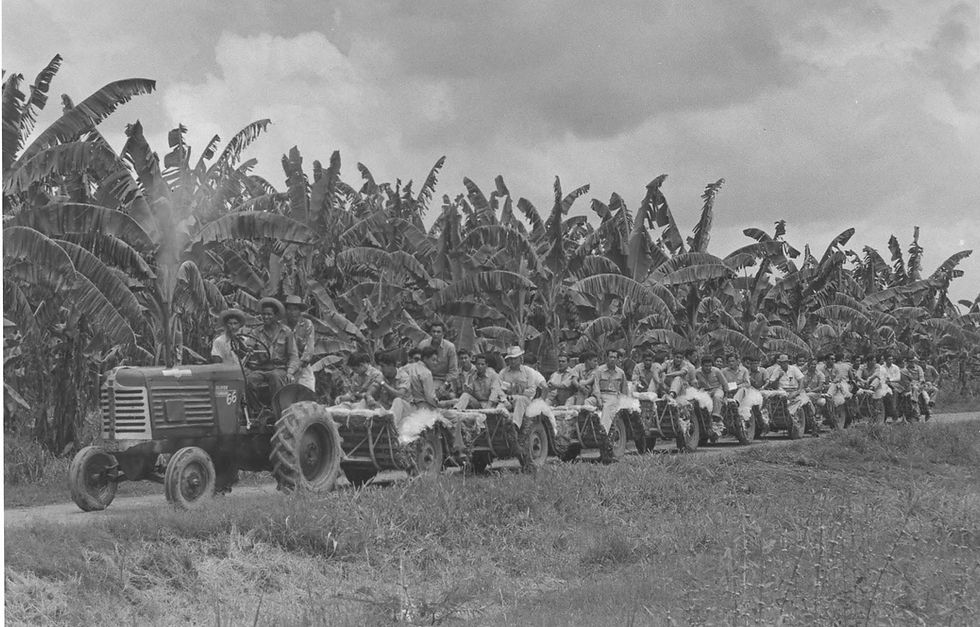 la-masacre-de-las-bananeras-1928.jpg