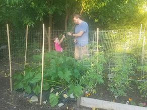 Gardening