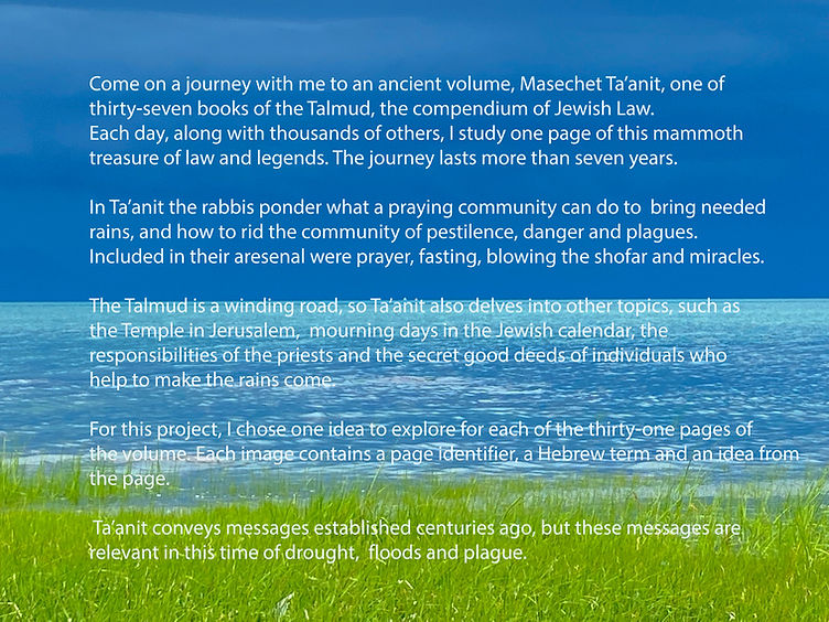Ta'anit intro edited January 19.jpg