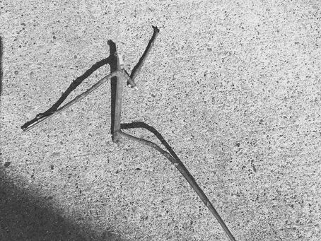 The Colors of Justice: Tzedek, Tzedek Tirdof