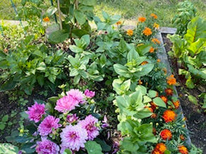 Joan's Garden