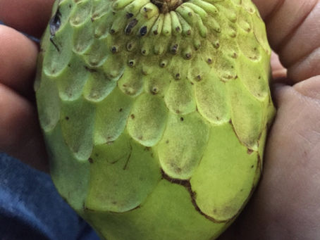 Guess what this is?