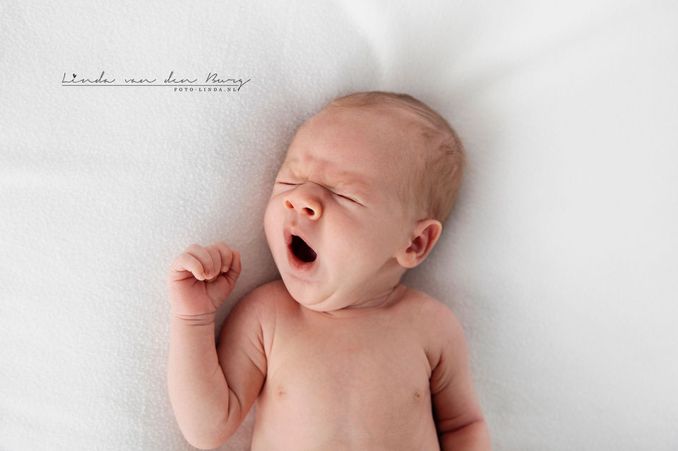 newbornshoot