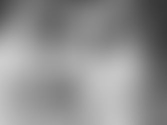 Gezinsfotoshoot in Barneveld – Spontane en Pure Familieportretten in de Natuur