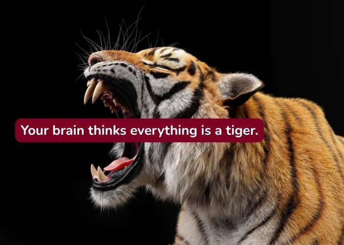 Your Brain Thinks Everything is a Tiger (And How to Tame It)